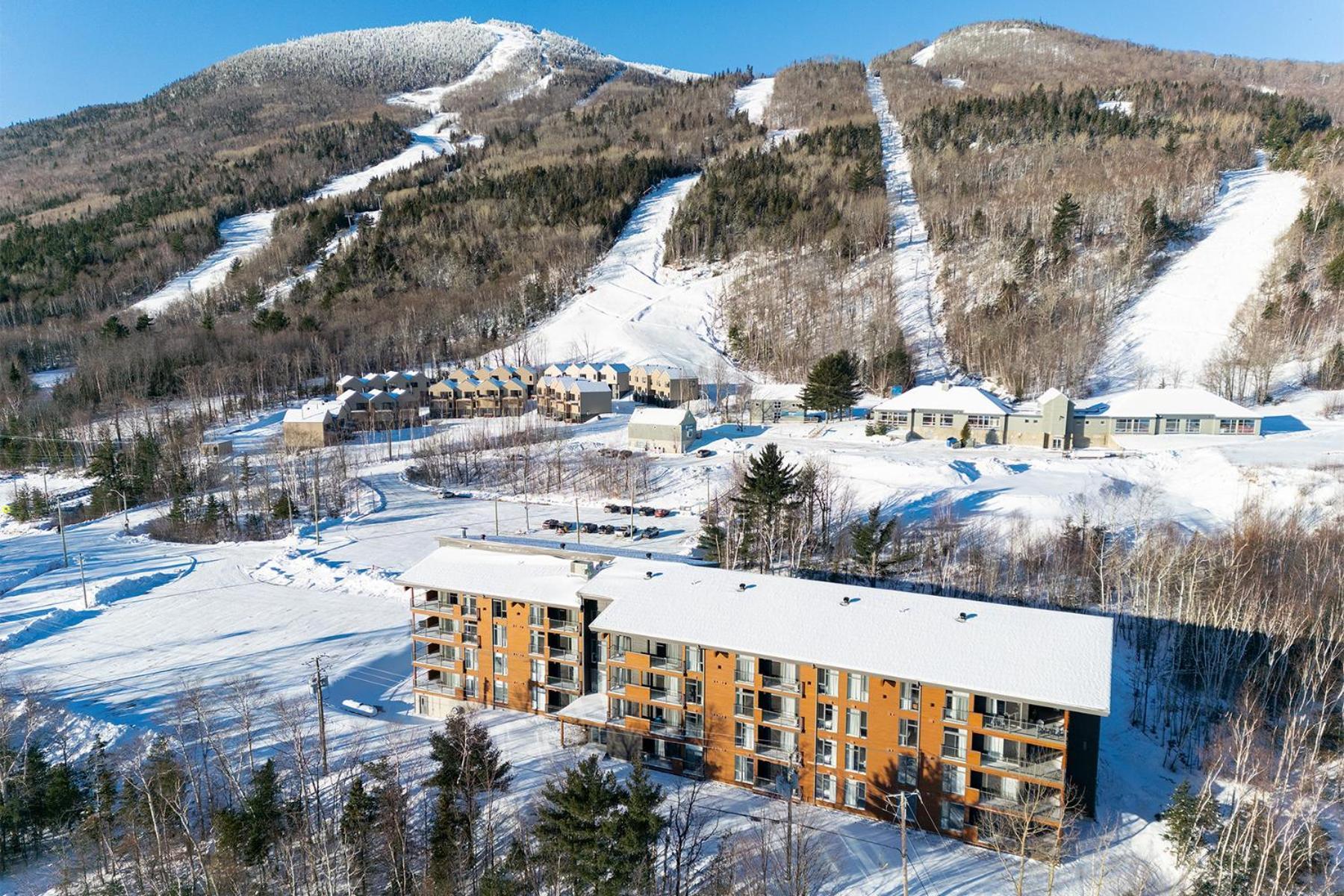 Les Appartements Du Massif De Charlevoix Petite-Riviere-Saint-Francois Eksteriør billede