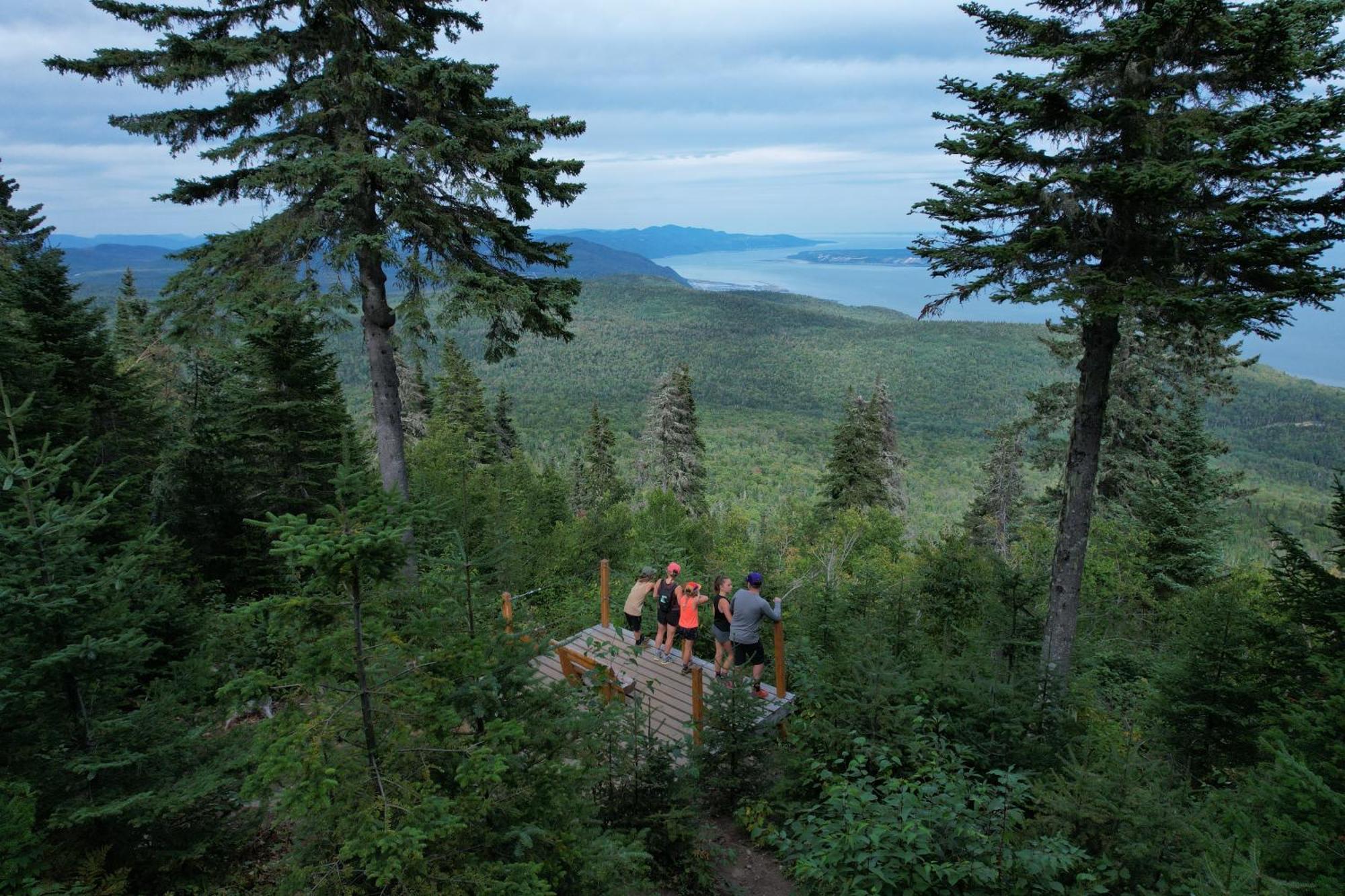 Les Appartements Du Massif De Charlevoix Petite-Riviere-Saint-Francois Eksteriør billede