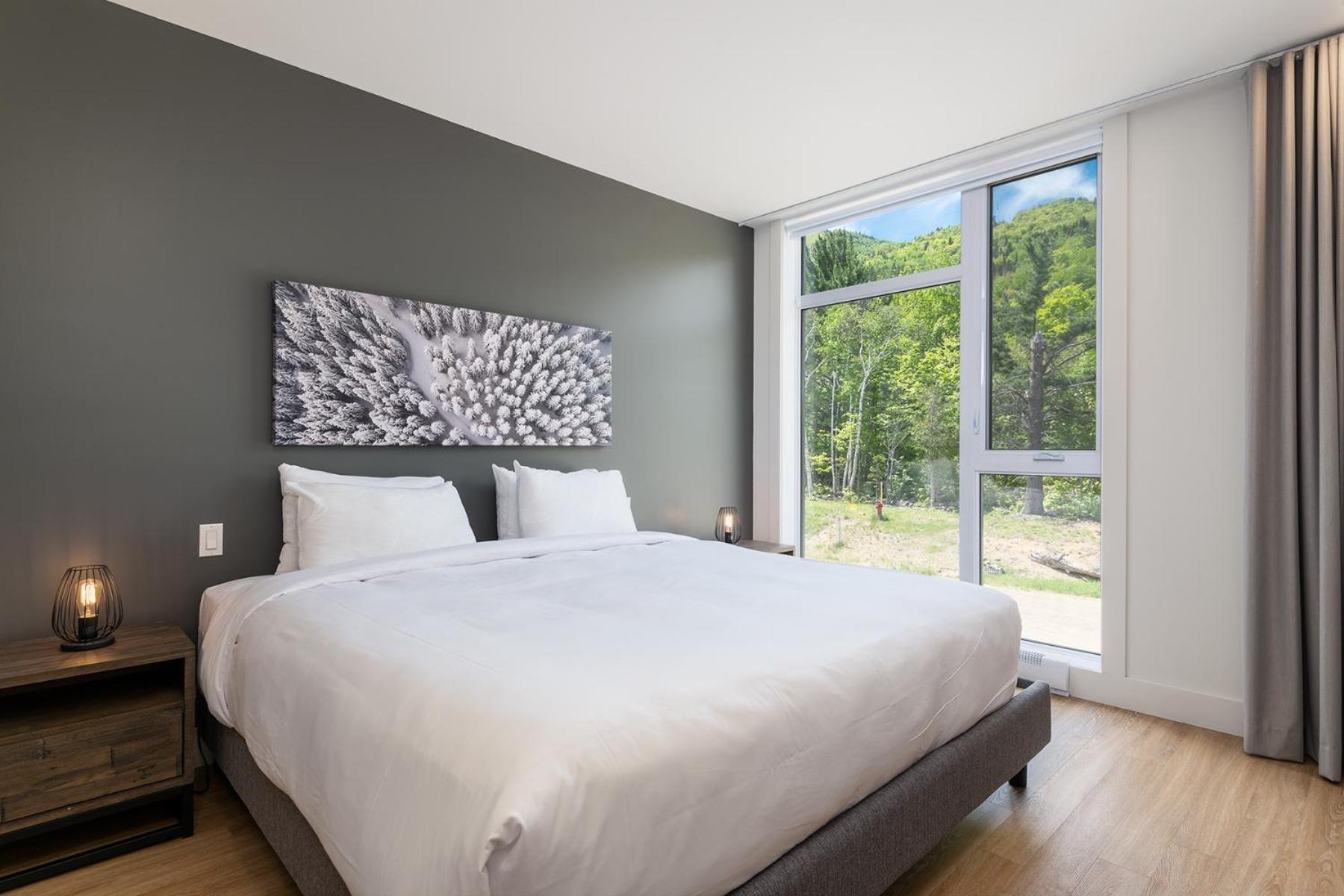 Les Appartements Du Massif De Charlevoix Petite-Riviere-Saint-Francois Værelse billede
