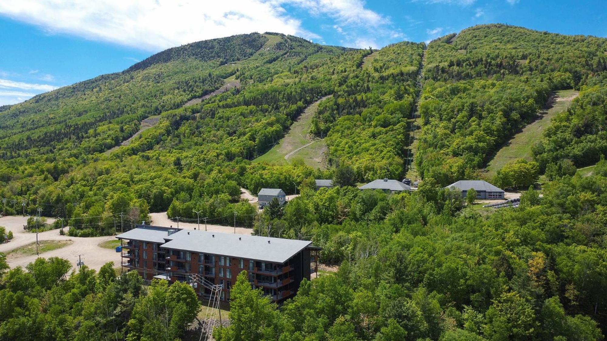 Les Appartements Du Massif De Charlevoix Petite-Riviere-Saint-Francois Eksteriør billede